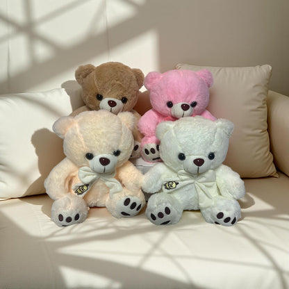 Teddy Bear ( 25 cm )