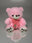 Teddy Bear ( 25 cm )