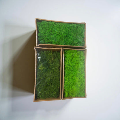 Mousse De Renne (500g)