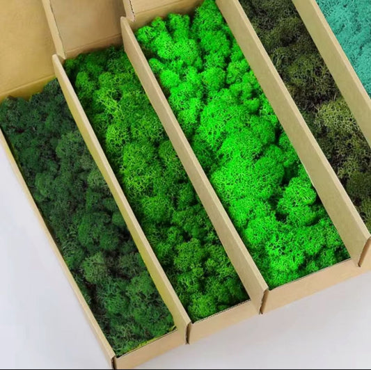 Mousse De Renne (500g)