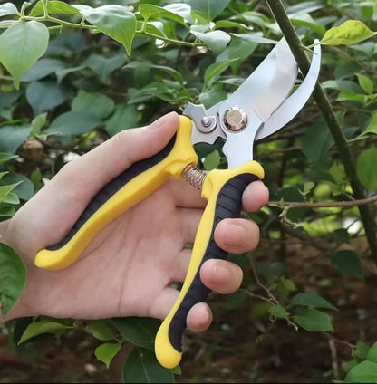Pruner garden scissors
