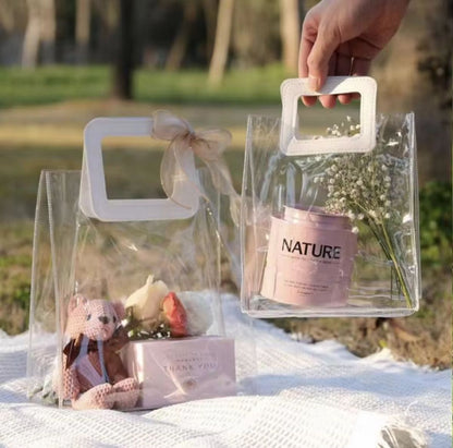 Transparent Gift Bag (22x11x26)