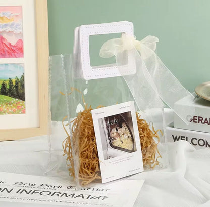 Transparent Gift Bag (22x11x26)