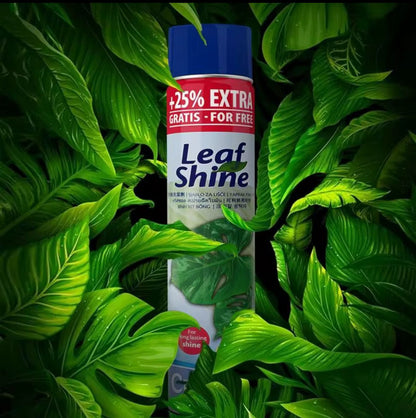 Leaf Shine