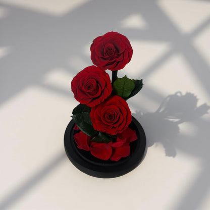 Arrangement 3 roses (14x 22cm)