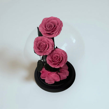 Arrangement 3 roses (14x 22cm)