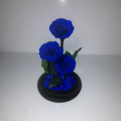 Arrangement 3 roses (14x 22cm)