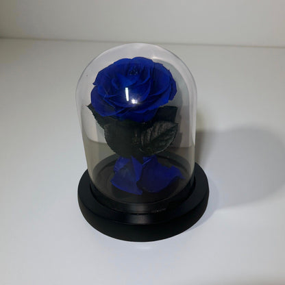 Small Arrangement Rose ( 7x11cm)