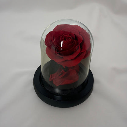 Small Arrangement Rose ( 7x11cm)