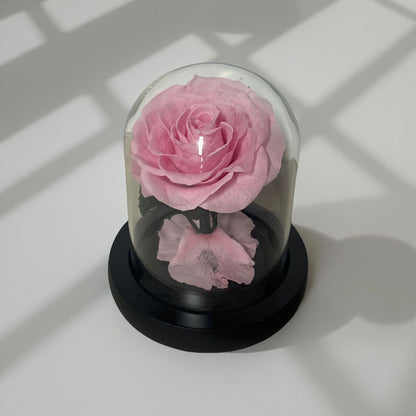 Small Arrangement Rose ( 7x11cm)