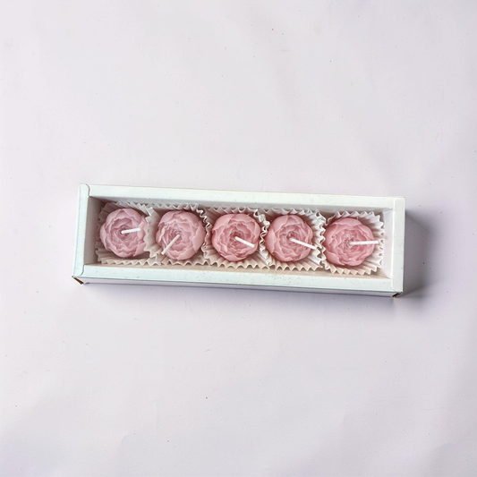 5 œillets roses
