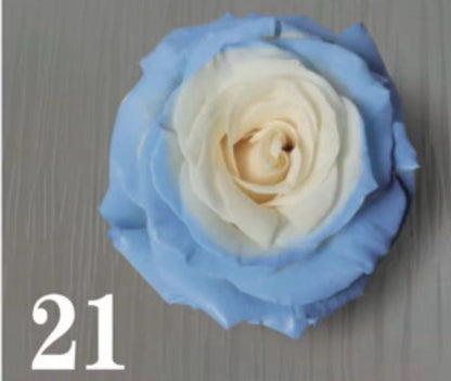 Florist Spray color
