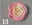 Couleur de vaporisation pour fleurs