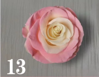 Florist Spray color