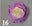 Couleur de vaporisation pour fleurs